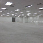 31 international Business park office Rental