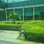 Plaza 8 Changi Business Park  Fitted Office