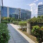 International Schools or Higher Education