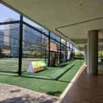 International Schools or Higher Education