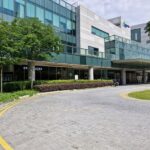 International Schools or Higher Education