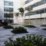 Ideal for Businesses with Haw Par Villa MRT Proximity