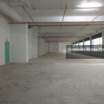 The Galen - 61 Science Park Road , Singapore 117525