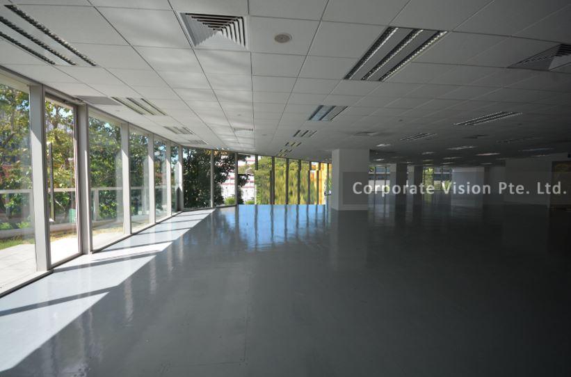 Plaza 8 @ CBP - 1 Changi Business Park Crescent Bare units