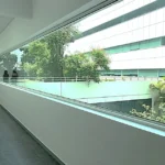 Starhub green Ubi